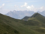 Maschgalugge