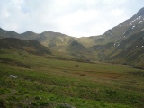 Golrosa