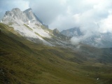 Golrosa