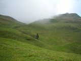 Nühüttli