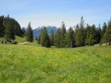 Forstegg