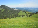 Forstegg