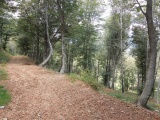 Bocchetta dei Frati