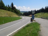 Tanne