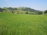 Oberschönegg