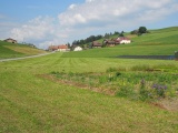 Plötsch