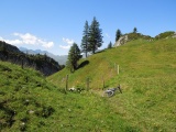 Torloch
