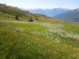 Col de Granon