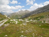 Bäregg