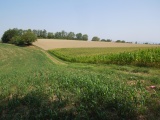 Col du Larret